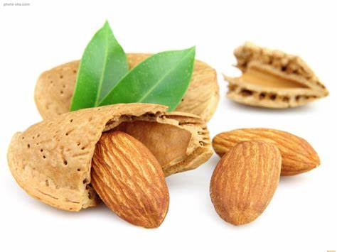 تصویر 1 از قیمت خرید مغز بادام درختی با فروش عمده